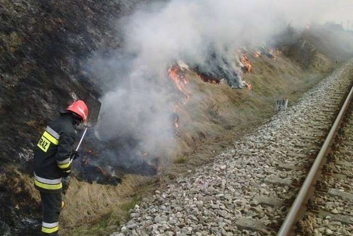 Lubelskie: Ponad 20 pożarów traw w regionie