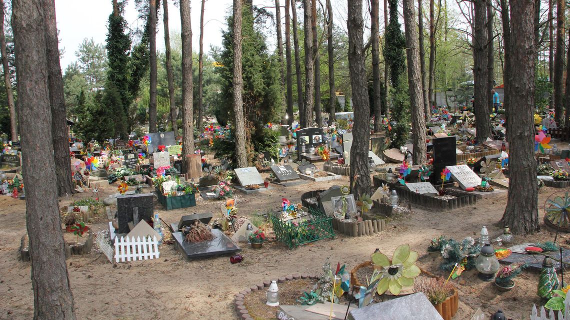 Lubelskie: Powstanie pierwszy cmentarz dla zwierząt?