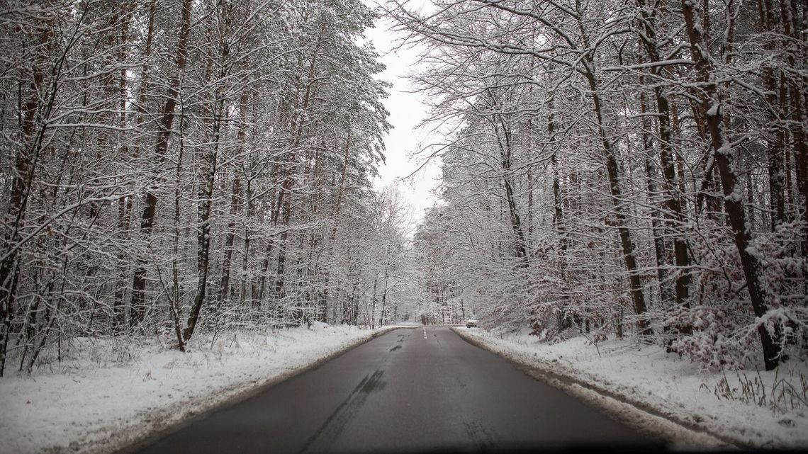 Lubelskie: Prognoza niebezpiecznych zjawisk meteorologicznych