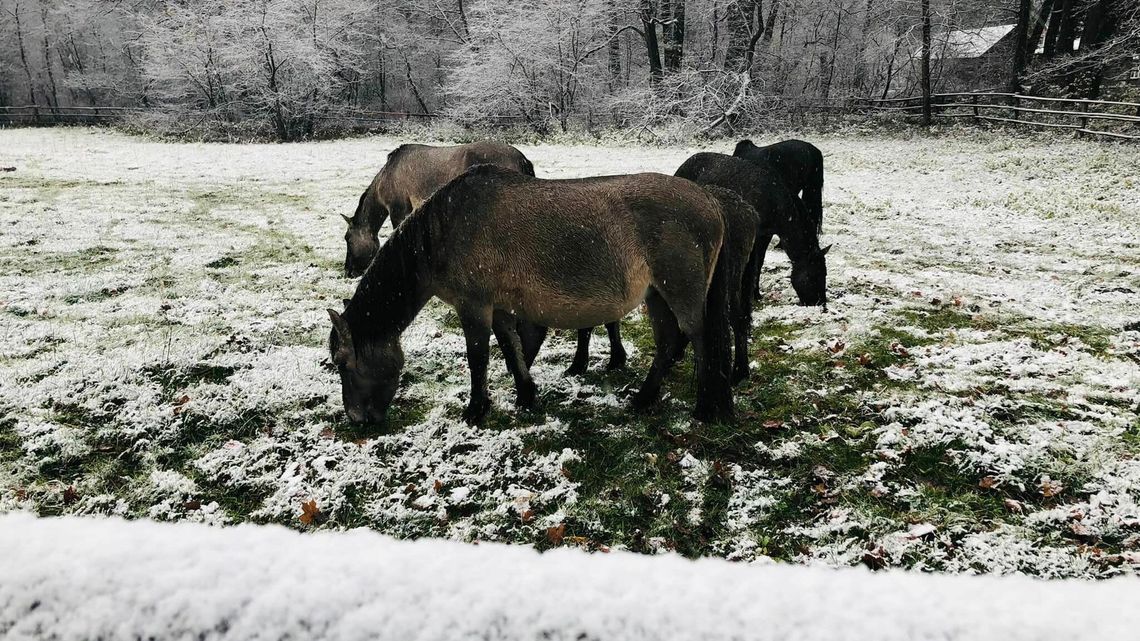 Lubelskie. Przyszła zima. Prognoza na najbliższe dni
