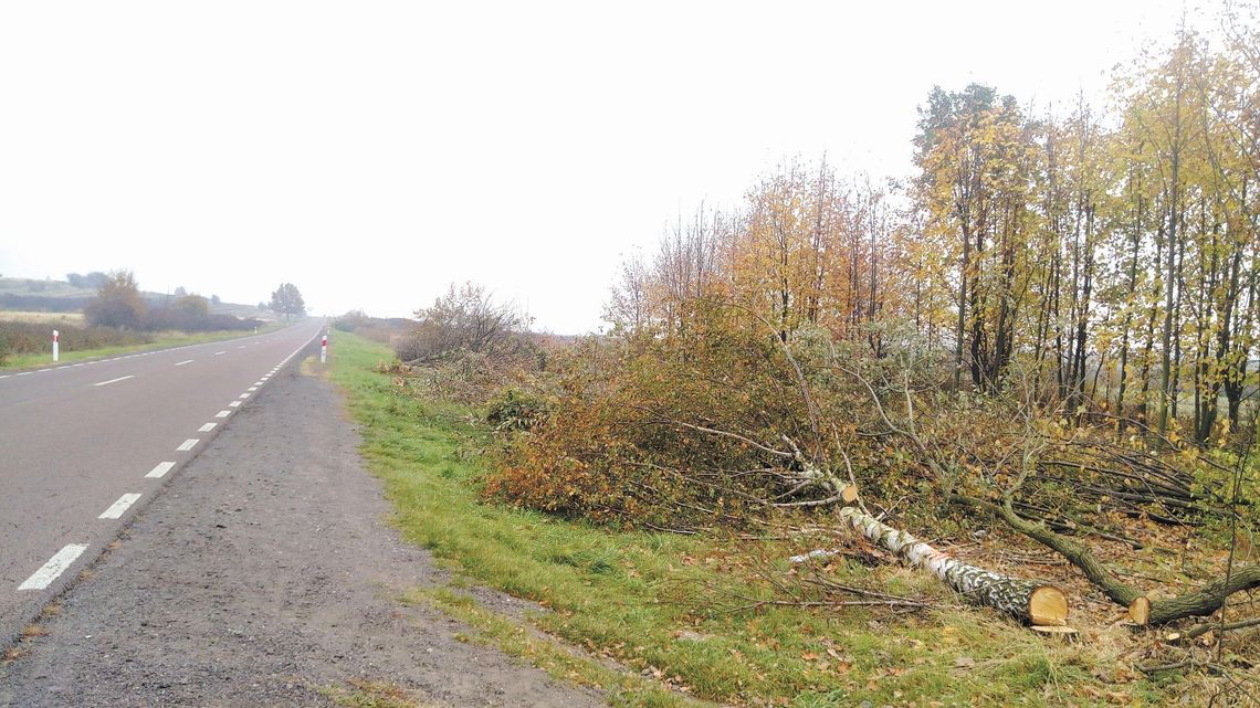 Lubelskie: Rusza przebudowa 108 kilometrów drogi krajowej