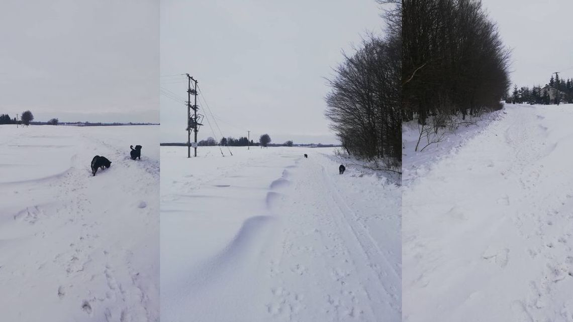 Lubelskie: Są zaspy, ale pieniędzy na odśnieżanie już nie ma. "Ludzie są odcięci od świata"