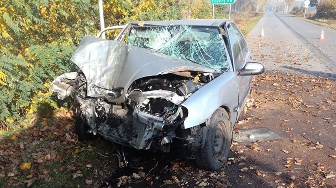 Lubelskie: Samochód wypadł z drogi i uderzył w drzewo