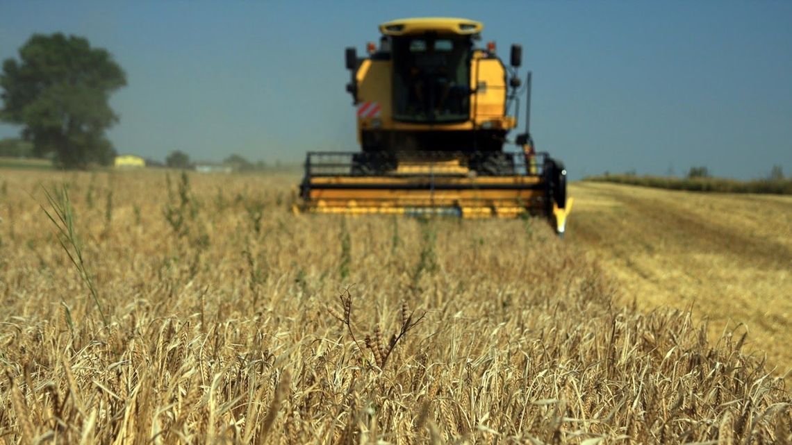 Lubelskie: Skupował zboże od rolników, ale im nie płacił. Chodzi nawet o kilkaset tysięcy złotych