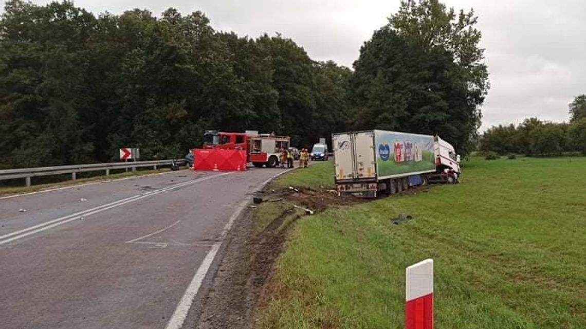 Lubelskie. Śmiertelny wypadek na drodze krajowej nr 19