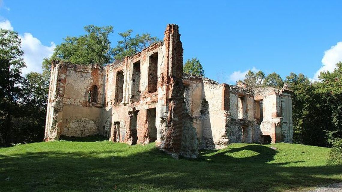 Lubelskie: Spadają cegły, jest niebezpiecznie, ale szlabanu nie będzie Lubelskie: Spadają cegły, jest niebezpiecznie, ale szlabanu nie będzie