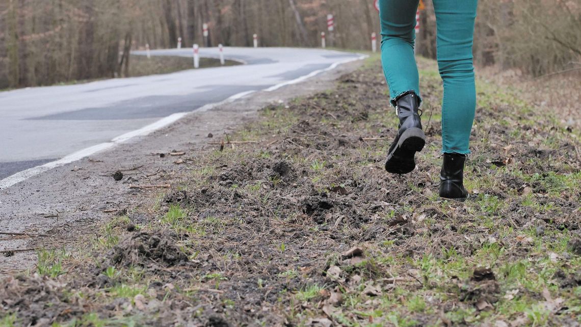 Lubelskie: Strach padł na żołnierzy. Proszą o zgodę na odstrzał dzików Lubelskie: Strach padł na żołnierzy. Proszą o zgodę na odstrzał dzików