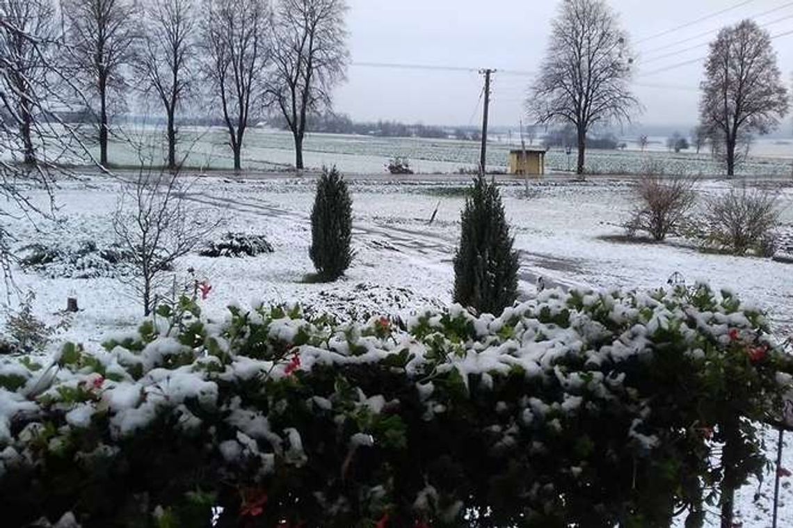 Lubelskie: Sypnęło śniegiem. Jaka pogoda w przyszłym tygodniu?