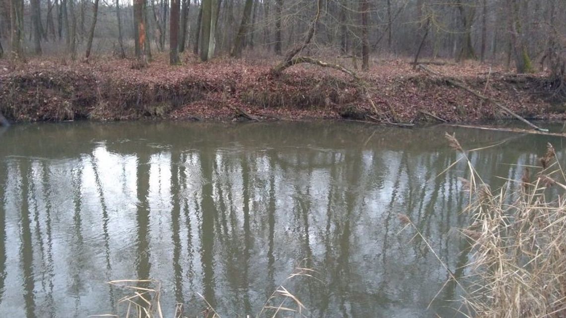 Lubelskie: Tragiczny finał poszukiwań zaginionego tydzień temu 21-latka