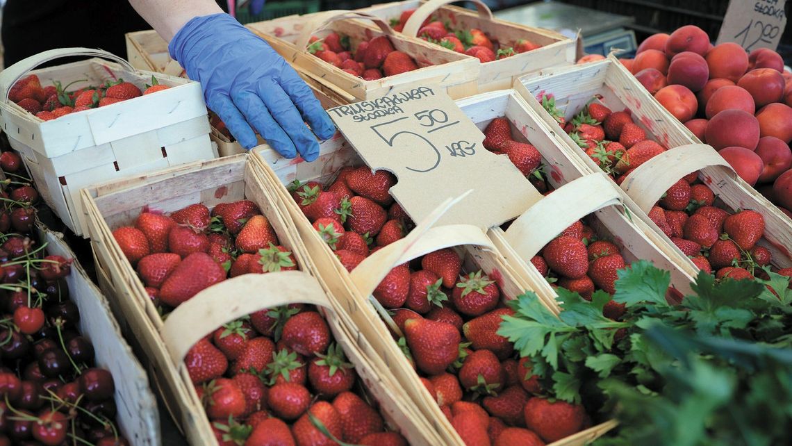 Lubelskie: Truskawki tanie jak barszcz. Plantatorzy załamują ręce