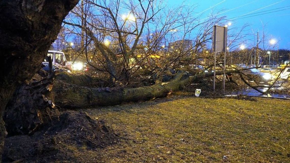 Lubelskie: Uwaga na silny wiatr. Może powiać z prędkością nawet 75 km/h