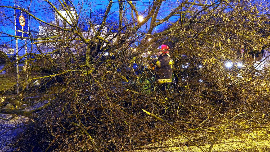 Lubelskie: Uwaga na silny wiatr. Może wiać z prędkością nawet 95 km/h