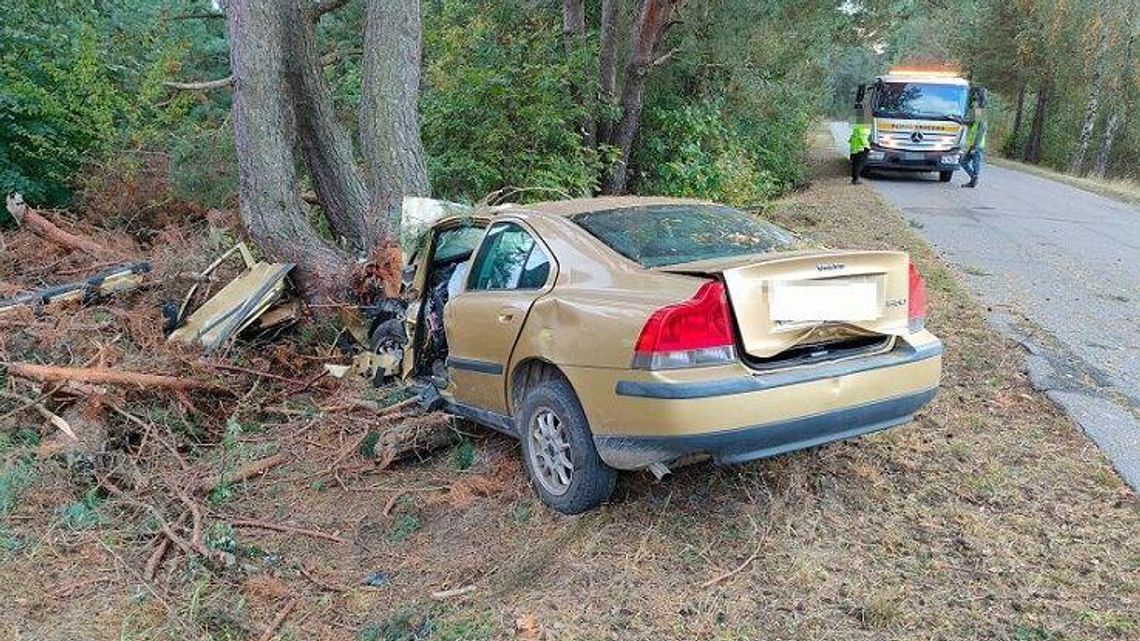 Lubelskie. Volvo uderzyło w drzewo. Kierowca zmarł w szpitalu