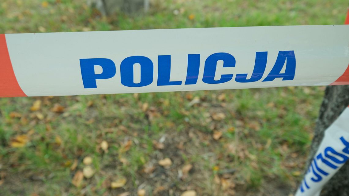 Lubelskie. W lesie znaleziono ciało mężczyzny zagryzionego przez psy