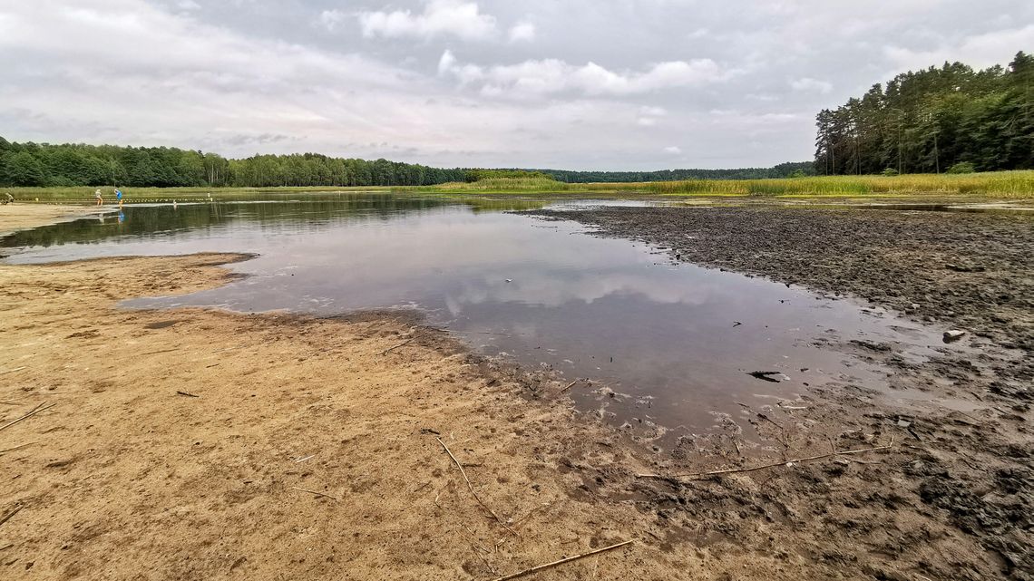 Lubelskie: W tych miejscach nie popływamy. Sanepid zamknął kąpieliska Lubelskie: W tych miejscach nie popływamy. Sanepid zamknął kąpieliska