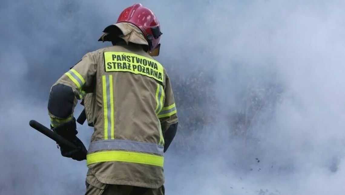 Lubelskie: Walczyli z ogniem przez ponad 8 godzin. W akcji było 60 strażaków