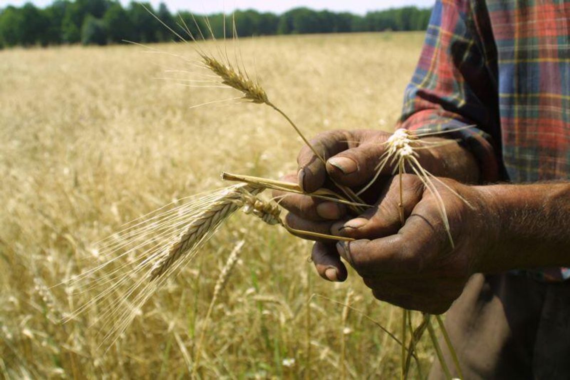 Lubelskie wśród najbiedniejszych rejonów Europy