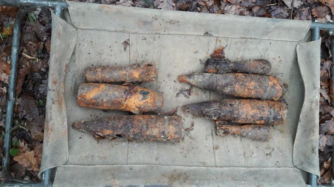 Lubelskie. Wykopali arsenał w lesie zaledwie 300 metrów od DK 12