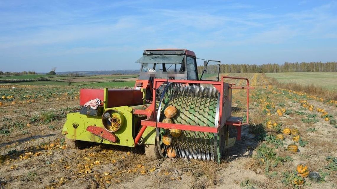 Lubelskie: Wypadek podczas prac polowych. Kobieta trafiła do szpitala Lubelskie: Wypadek podczas prac polowych. Kobieta trafiła do szpitala