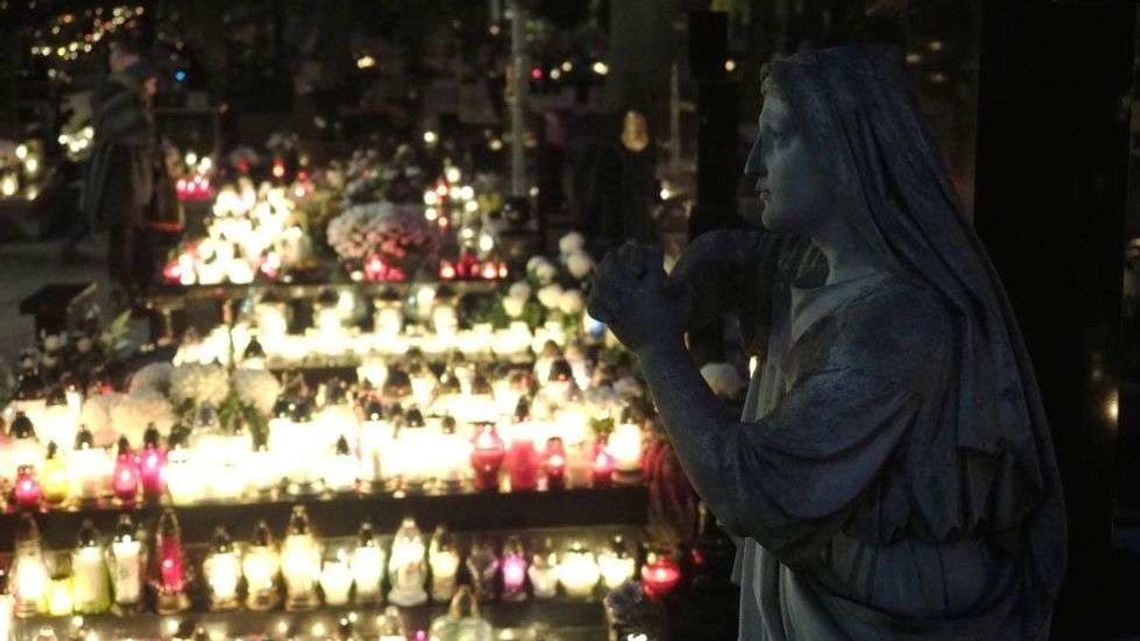 Lubelskie: Wyszukiwarka grobów. Sprawdź listę cmentarzy Lubelskie: Wyszukiwarka grobów. Sprawdź listę cmentarzy