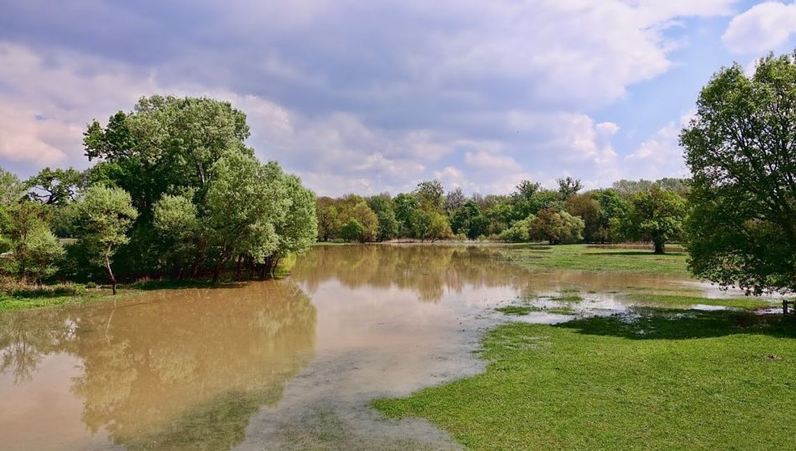 Lubelskie: Wzrost poziomu wód w rzekach i lokalne podtopienia. Ostrzeżenie przed skutkami burz