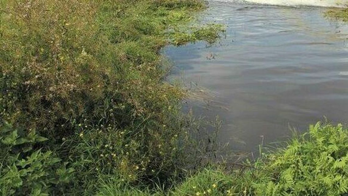 Lubelskie. Z rzeki wyłowiono ciało