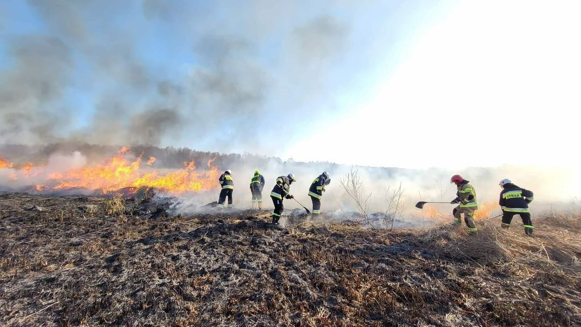 Lubelskie. Zaczęło się wypalanie traw. Tylko jednego dnia ponad 40 pożarów
