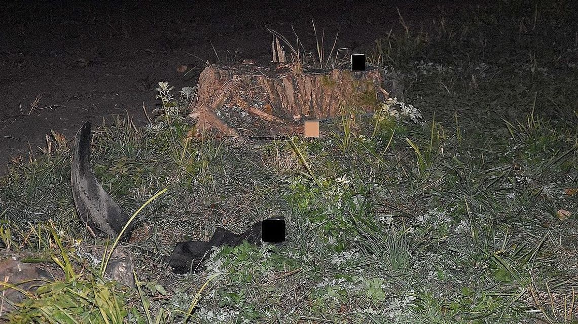 Lubelskie: Zobaczył leżącego przy drodze sąsiada. Szukają kierowcy, który go przejechał Lubelskie: Zobaczył leżącego przy drodze sąsiada. Szukają kierowcy, który go przejechał