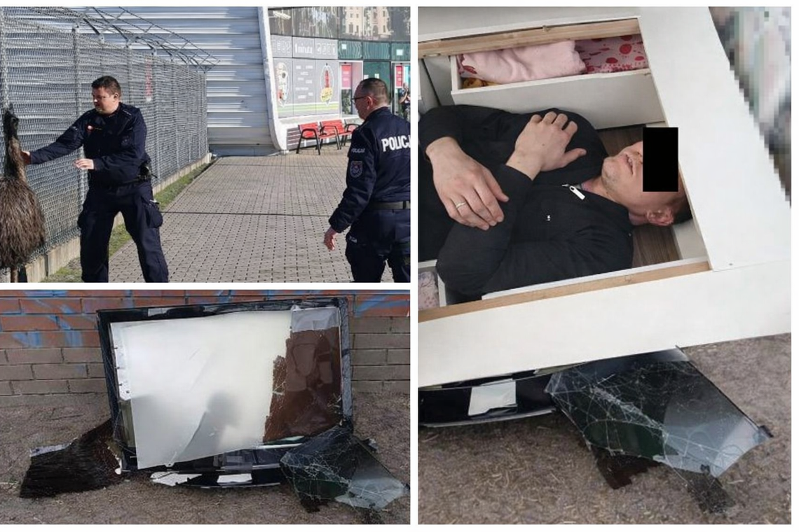 Lubelszczyzna 2025: przegląd nietypowych interwencji kryminalnych Lubelszczyzna 2025: przegląd nietypowych interwencji kryminalnych