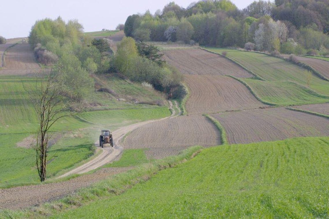 Lubelszczyzna okiem ekspertów. Co nas czeka w 2020 roku?