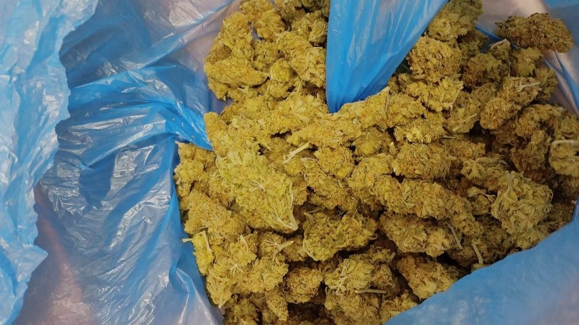 Lublin: 18-latkowi grozi 10 lat więzienia. Za marihuanę