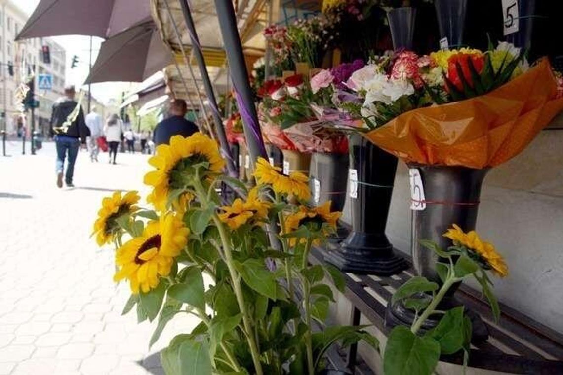 Lublin: Biorą się za murek z kwiatami Lublin: Biorą się za murek z kwiatami