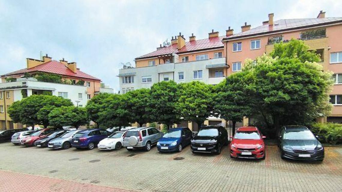 Lublin. Bo drzewa "zagrażają samochodom". Spółdzielnia chce ciąć