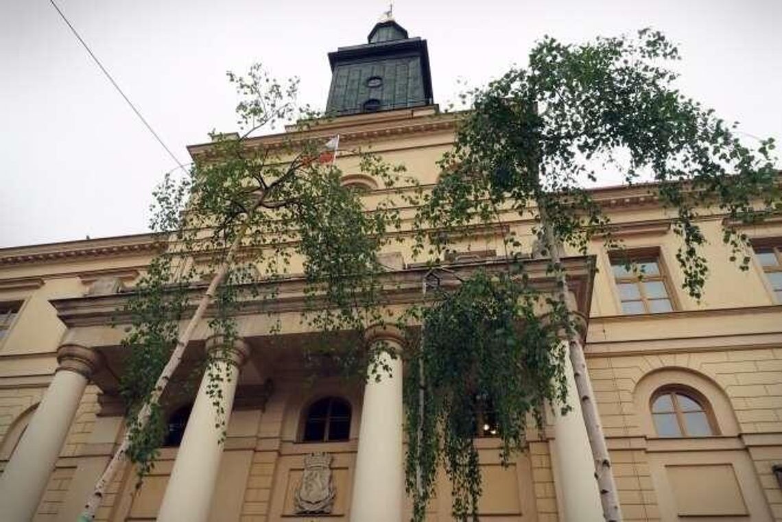 Lublin: Brzozy wyrosły przed Ratuszem