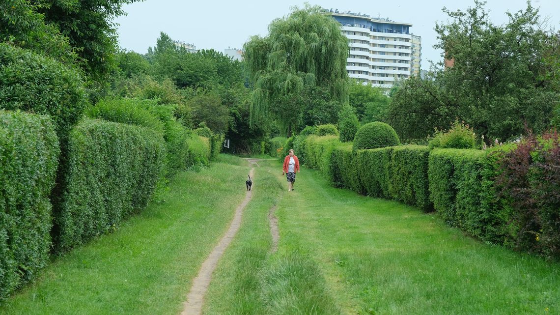 Lublin: Były projekty, gdzie efekty? Te inwestycje trafią do zamrażarki