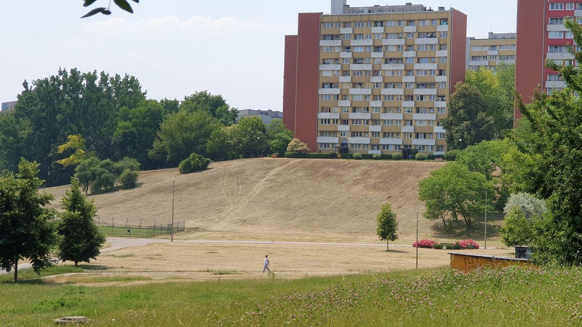 Lublin chwali się, że "dba o zieleń i dobre nawodnienie". Tymczasem wąwóz ogolony do gołej ziemi Lublin chwali się, że "dba o zieleń i dobre nawodnienie". Tymczasem wąwóz ogolony do gołej ziemi