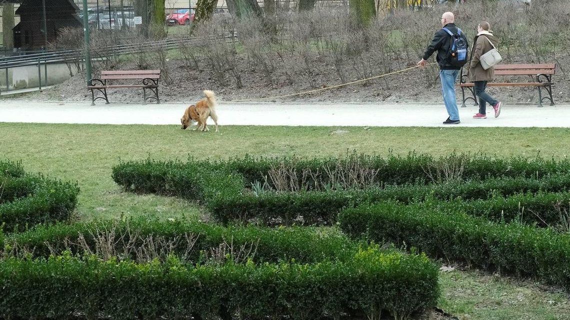 Lublin: Coraz więcej osób wymyka się z domów na spacery [zdjęcia]