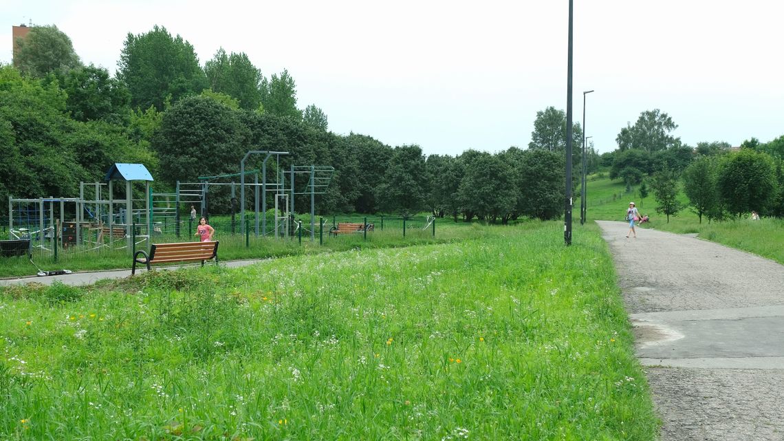 Lublin: Czy w wąwozie przyda się staw? Czytelnik proponuje ogród deszczowy Lublin: Czy w wąwozie przyda się staw? Czytelnik proponuje ogród deszczowy