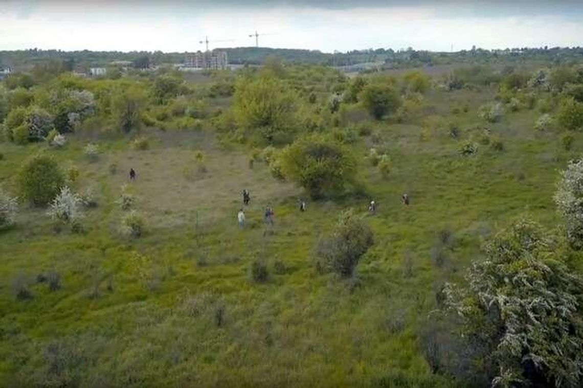 Lublin: Czy zwały ziemi zaszkodzą górkom czechowskim? Lublin: Czy zwały ziemi zaszkodzą górkom czechowskim?