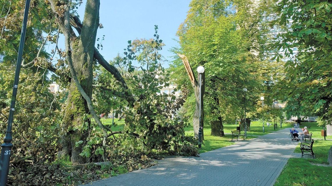 Lublin. Dlaczego sprzątanie po wichurze trwa tak długo? Lublin. Dlaczego sprzątanie po wichurze trwa tak długo?