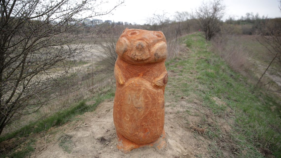 Lublin: Drewniany chomik stanął na górkach czechowskich [zdjęcia]