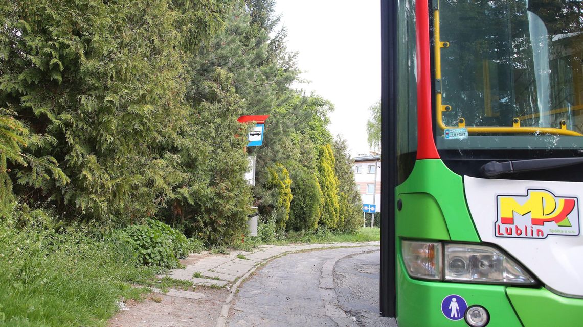 Lublin: Drzewa osłaniają domy od ulicy. Znikną podczas powiększania pętli autobusowej