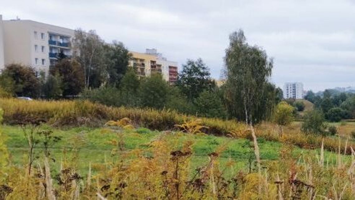 Lublin. Eksperci do prezydenta: to nie miejsce na budowę Lublin. Eksperci do prezydenta: to nie miejsce na budowę