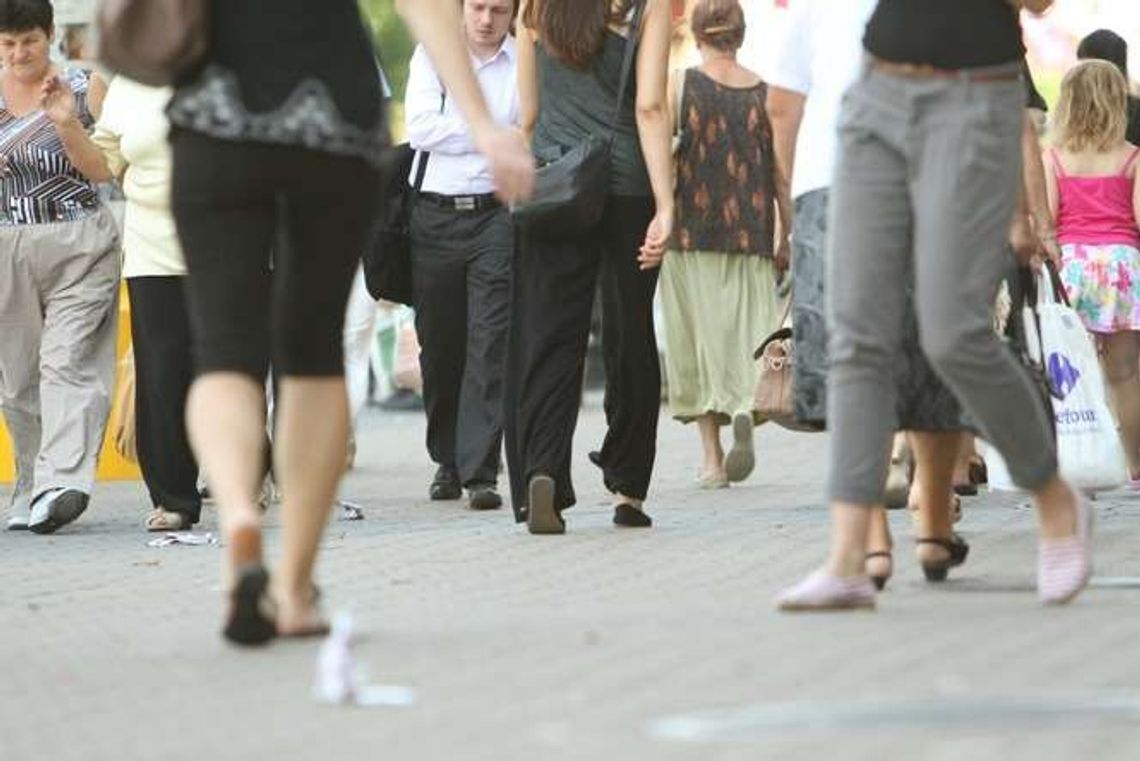 Lublin: Eksperci proponują miastu pieszobusy Lublin: Eksperci proponują miastu pieszobusy
