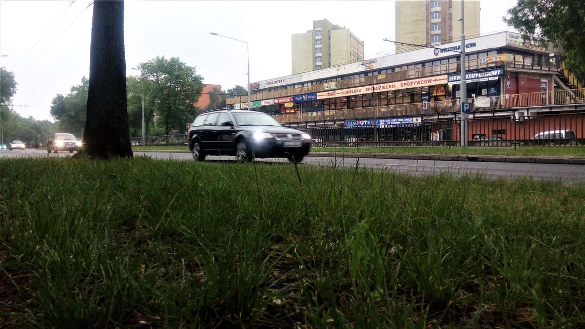 Lublin: Firma od koszenia trawników nagle zerwała umowę z miastem