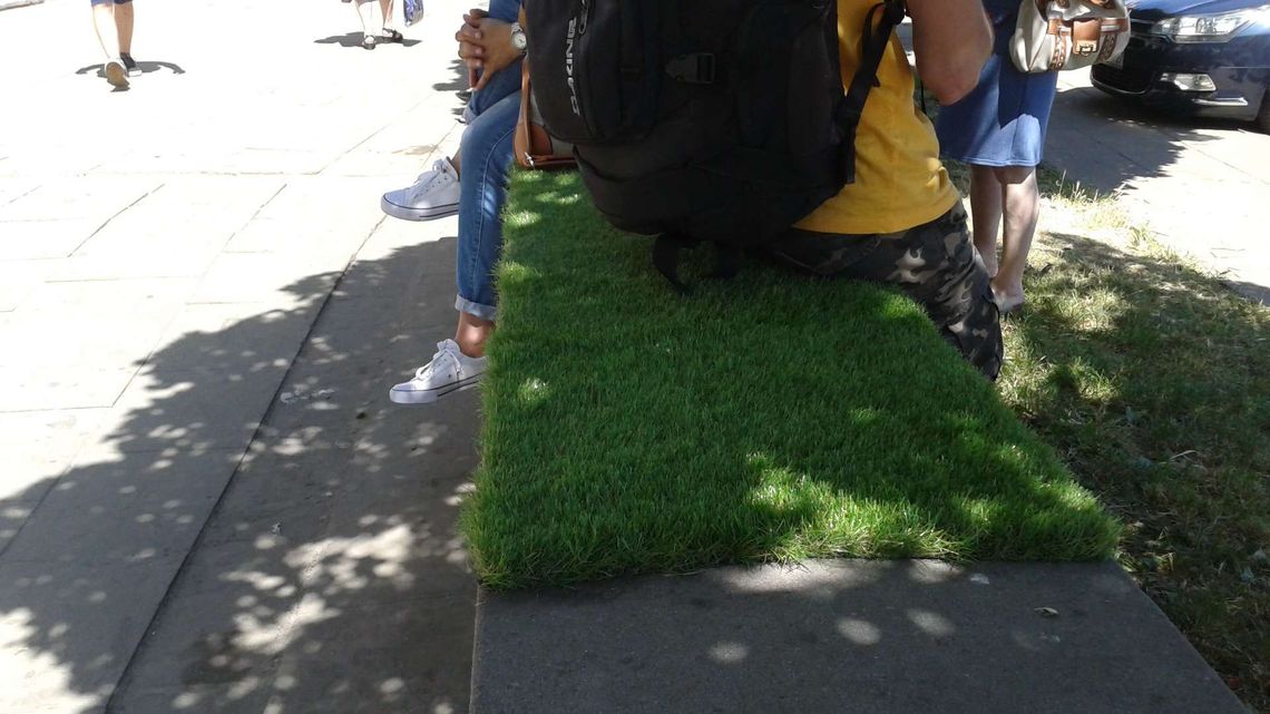 Lublin: Gdzie znaleźć motyle, a gdzie Porosty