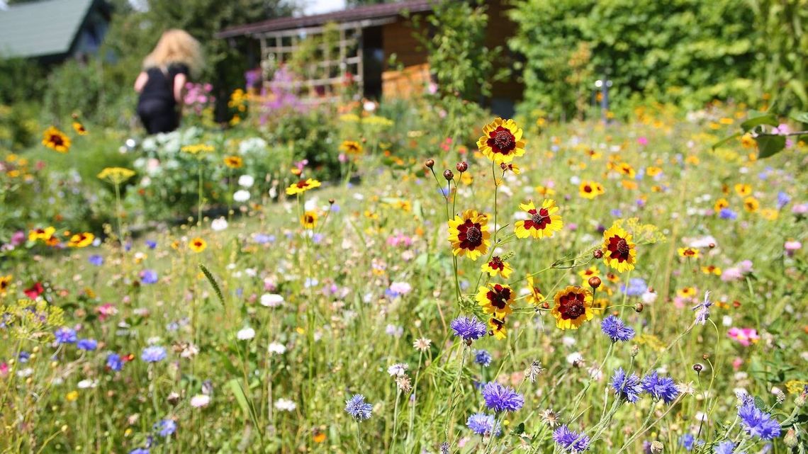 Lublin: Jak można zmienić skwery w mieście? Urzędnicy czekają na uwagi
