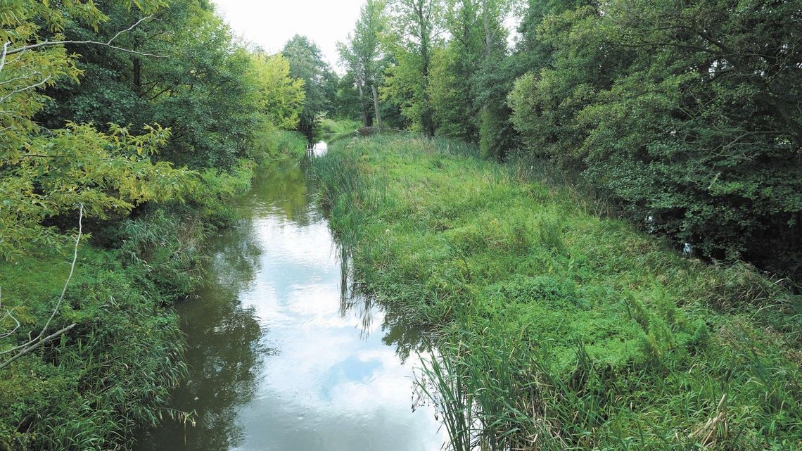 Lublin: Jaki powinien być park Nadrzeczny? Jest wstępna koncepcja Lublin: Jaki powinien być park Nadrzeczny? Jest wstępna koncepcja