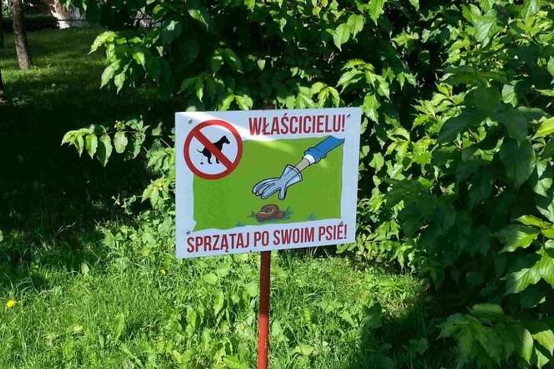 Lublin: Kampania przekonująca do sprzątania po swoim psie Lublin: Kampania przekonująca do sprzątania po swoim psie