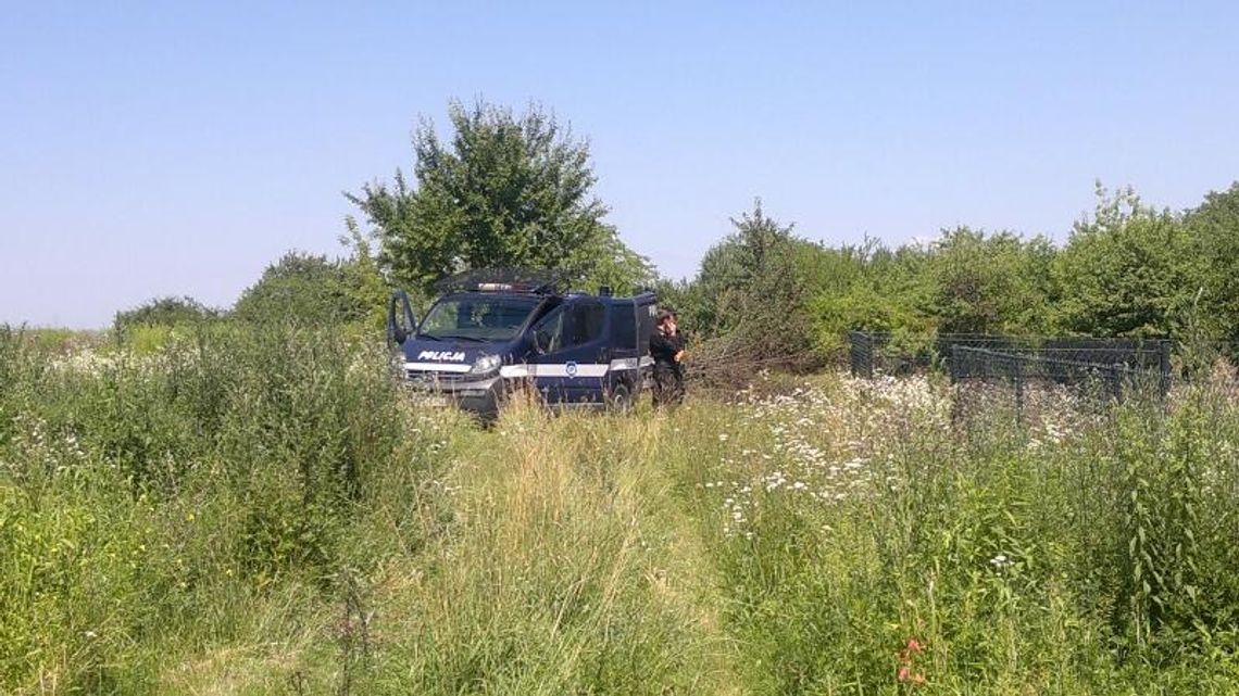 Lublin: kobieta zginęła w pożarze trawy Lublin: kobieta zginęła w pożarze trawy